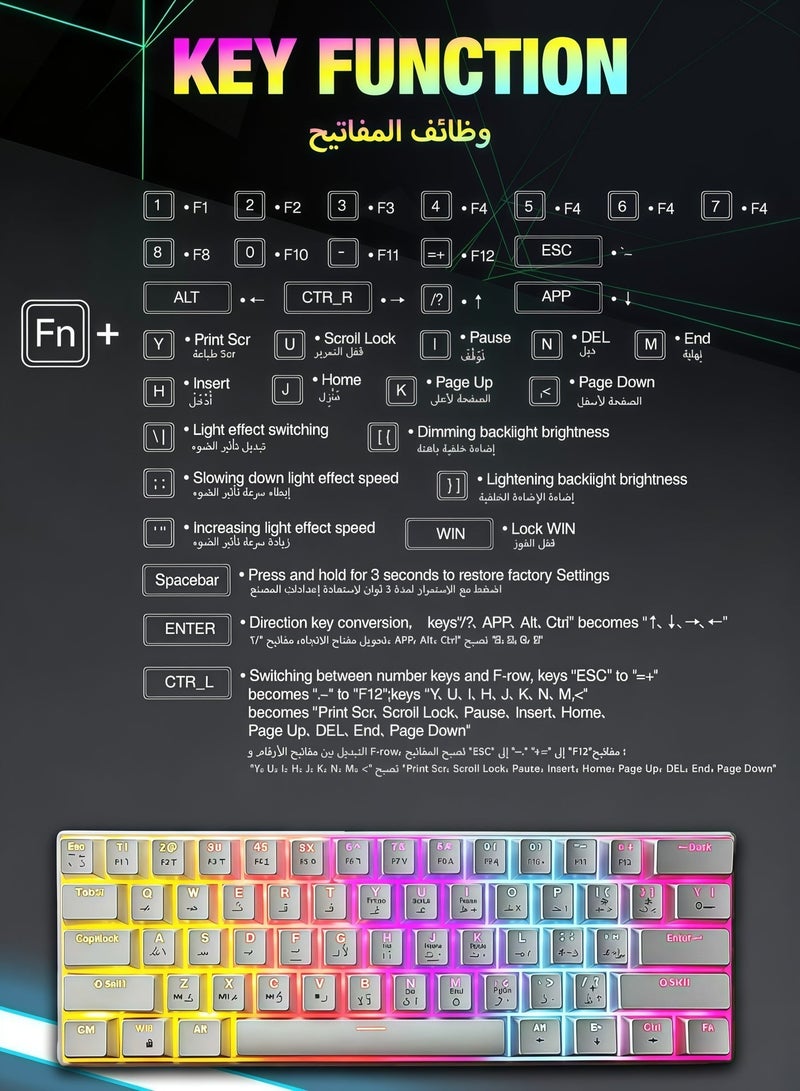 AOR Esports Keyboard, gaming keyboard, red axis, Arabic keycap, Arabic keyboard,  Type-C interface, 61 compact key design, white wired keyboard - Image 4